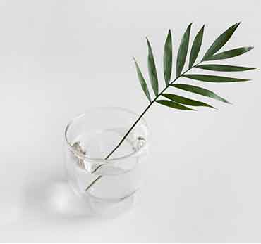 自动发货快的呼死你免费试用在线